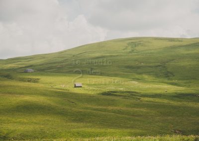 Mission photos du Parc des Volcans (2014)