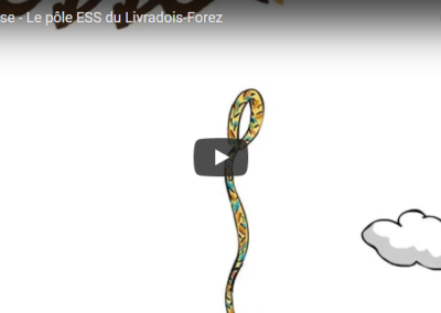 Vidéo motion design pour la CRESS Auvergne (2014)